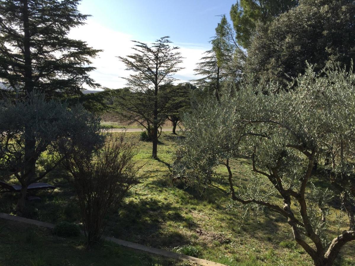 Maison Calme Beaumes-de-Venise Eksteriør billede